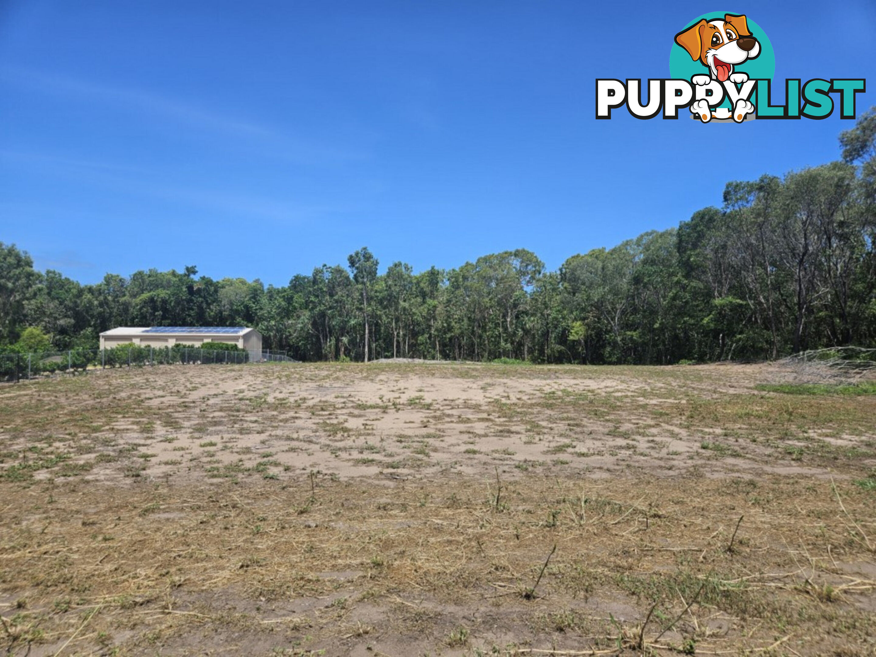 12 Mahogany Drive Forrest Beach QLD 4850