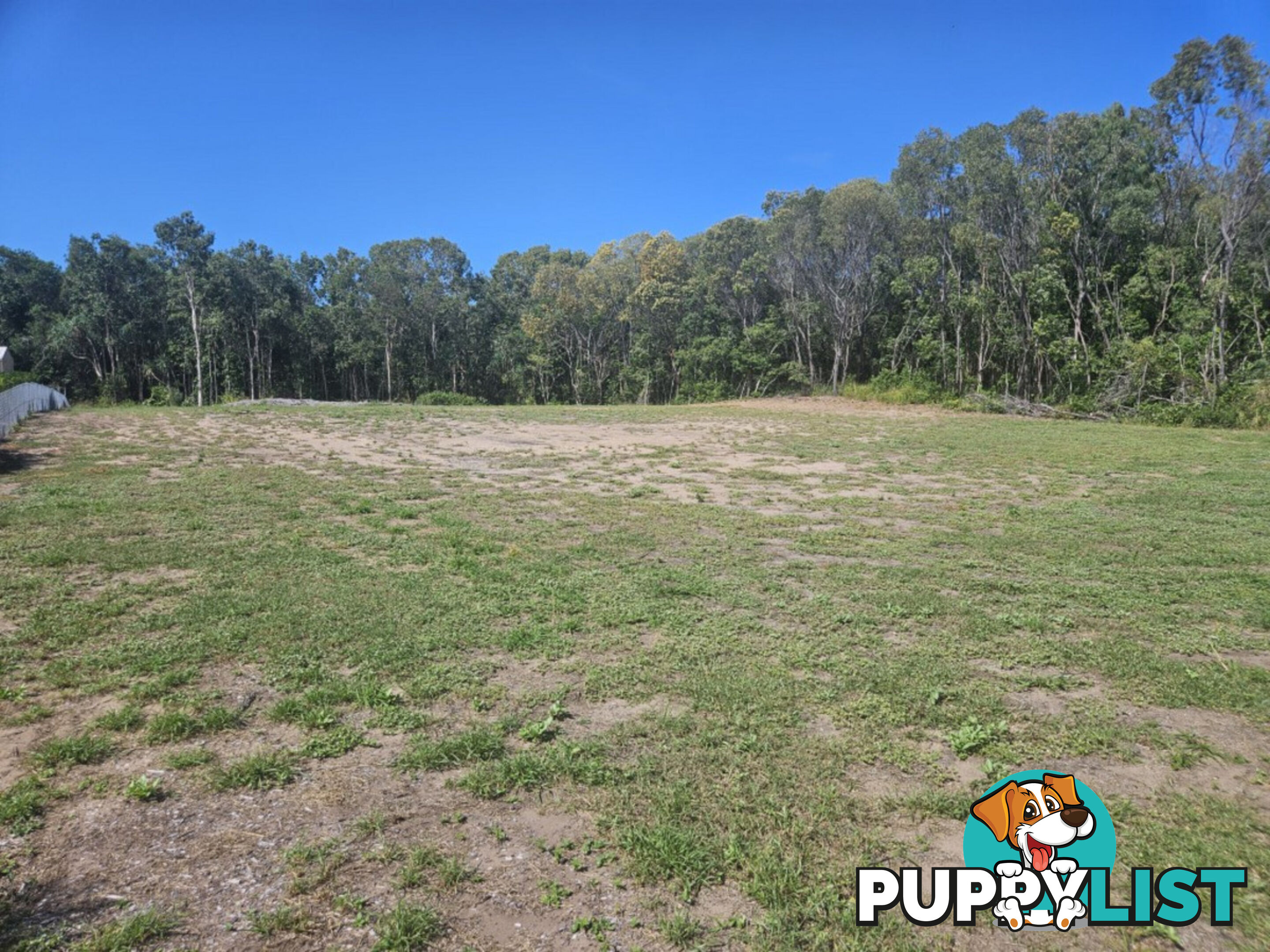 12 Mahogany Drive Forrest Beach QLD 4850