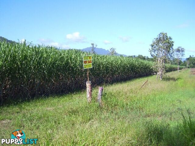 Copleys Road Abergowrie QLD 4850