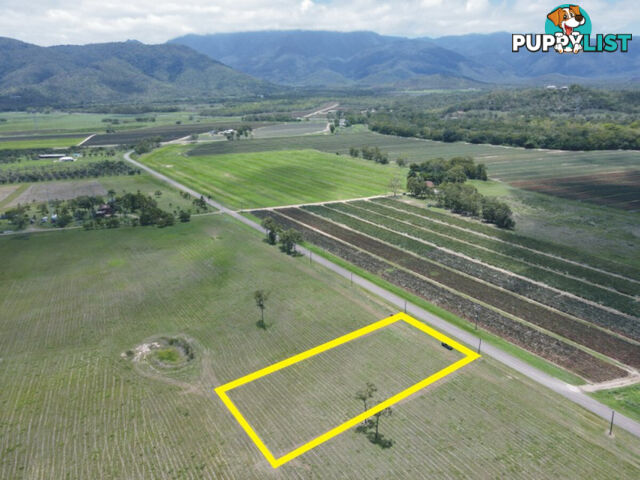 69 Balgal Beach Road Balgal Beach QLD 4816