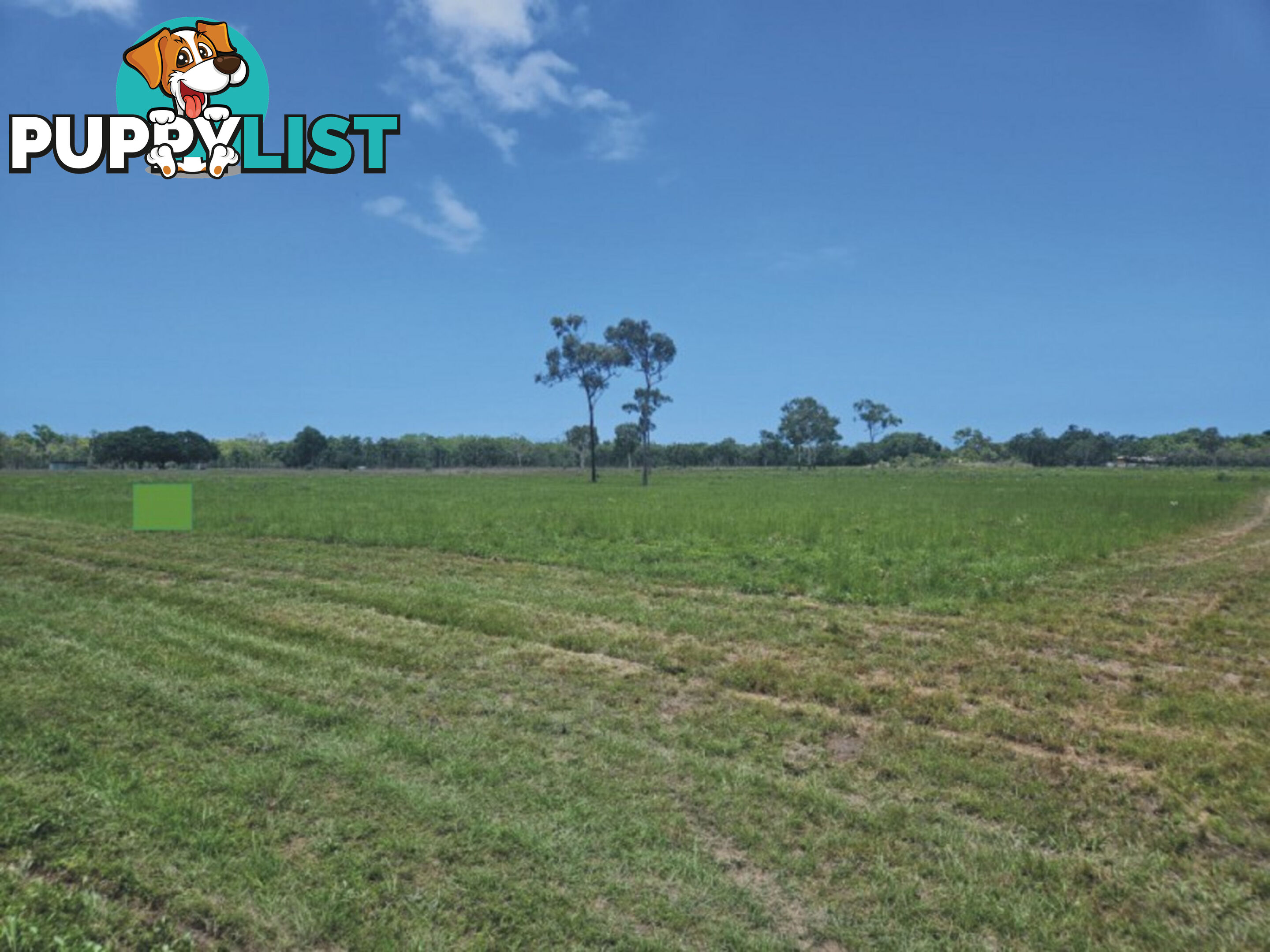 69 Balgal Beach Road Balgal Beach QLD 4816