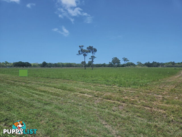 69 Balgal Beach Road Balgal Beach QLD 4816