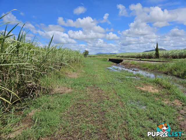 1 Nebbias Road Yuruga QLD 4850