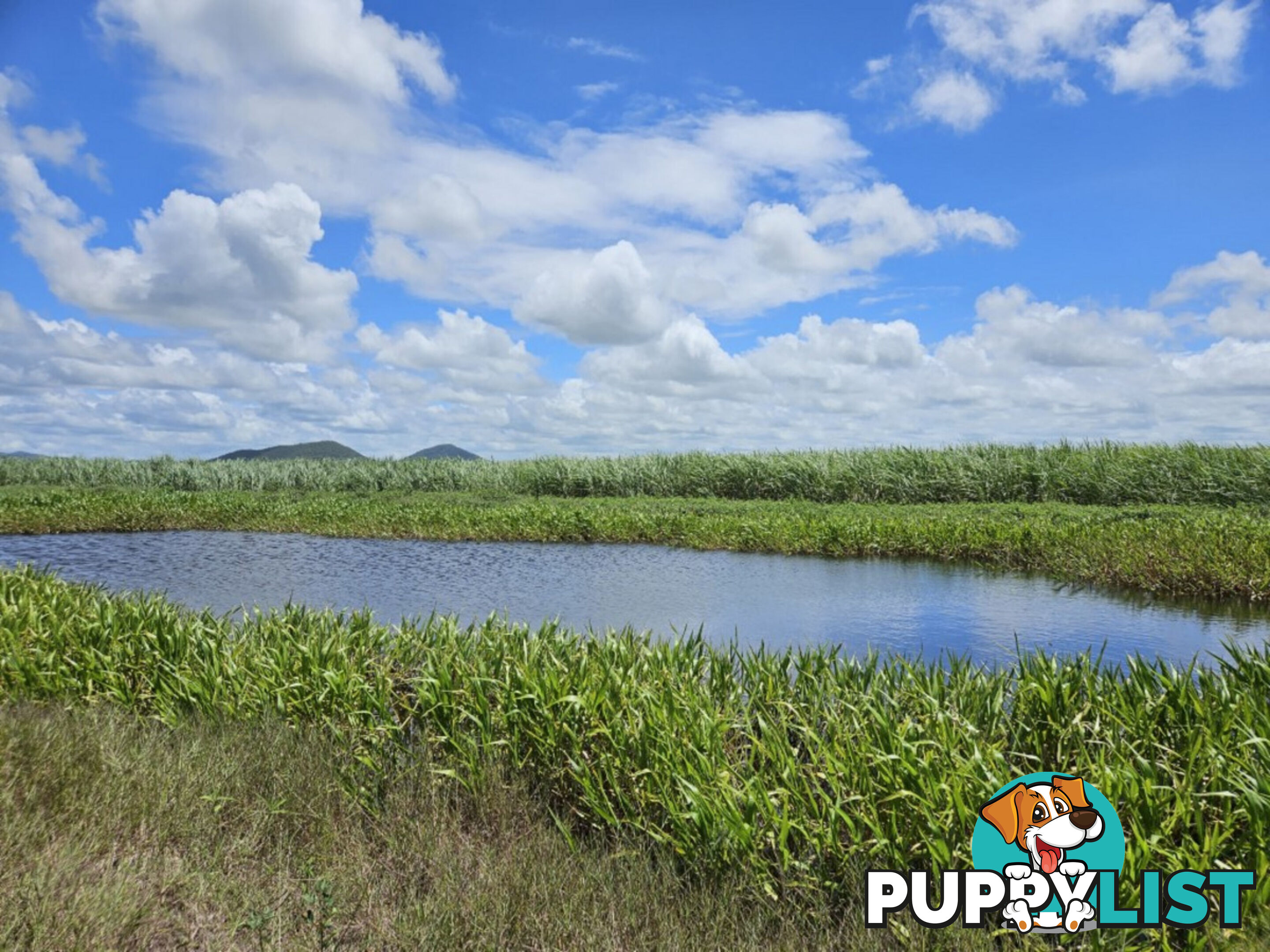 1 Nebbias Road Yuruga QLD 4850