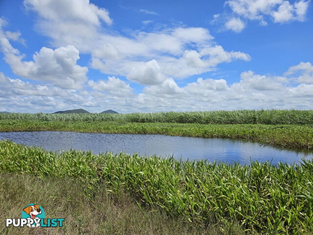 1 Nebbias Road Yuruga QLD 4850