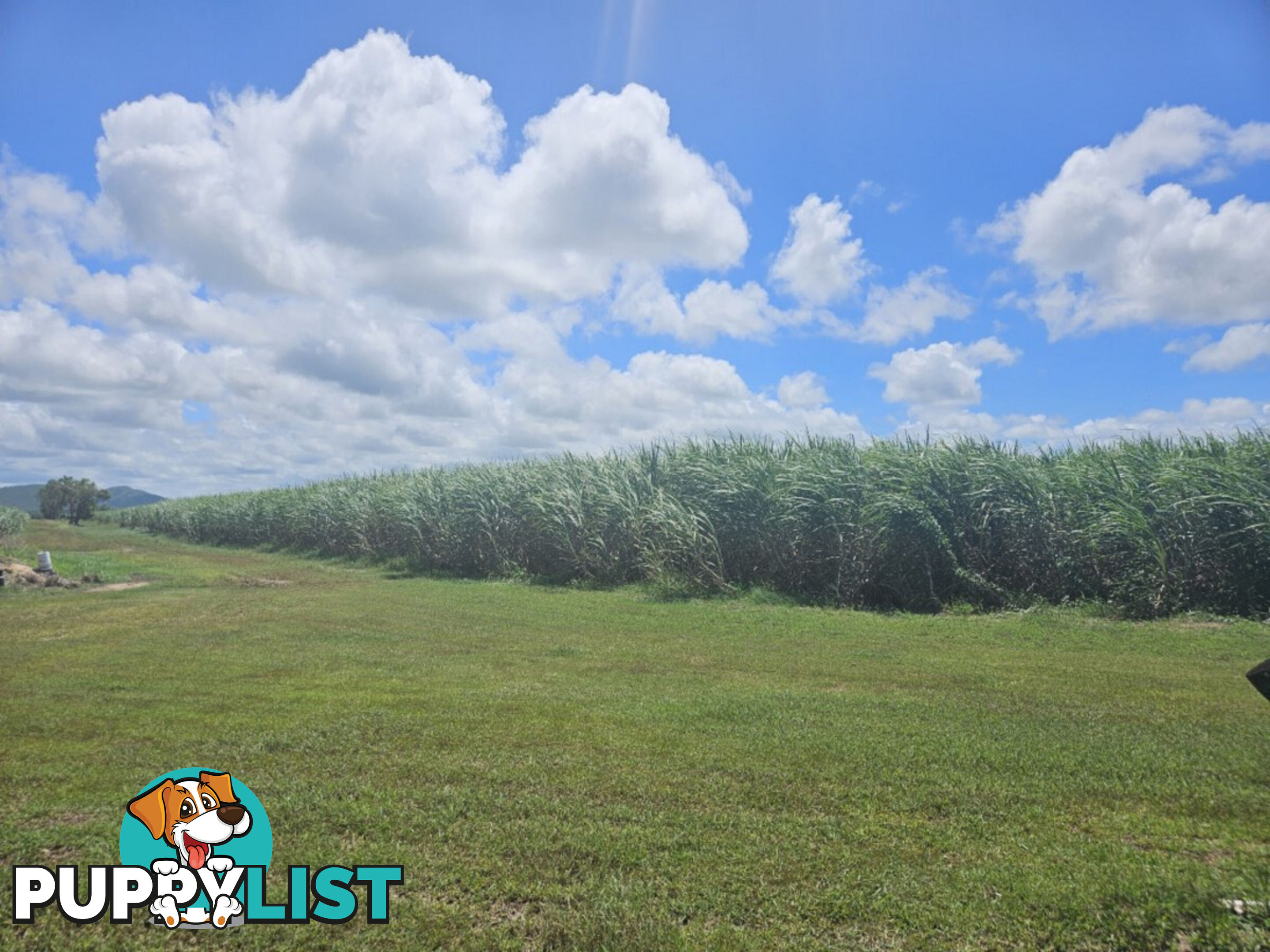 1 Nebbias Road Yuruga QLD 4850