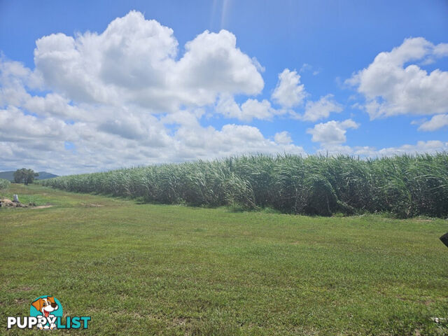 1 Nebbias Road Yuruga QLD 4850