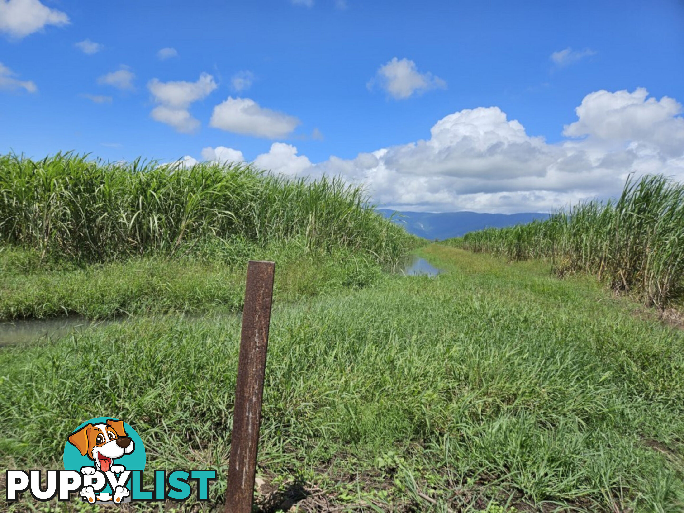 1 Nebbias Road Yuruga QLD 4850