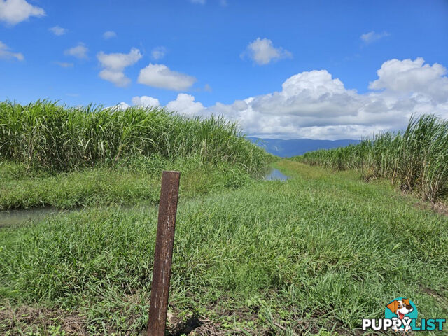 1 Nebbias Road Yuruga QLD 4850