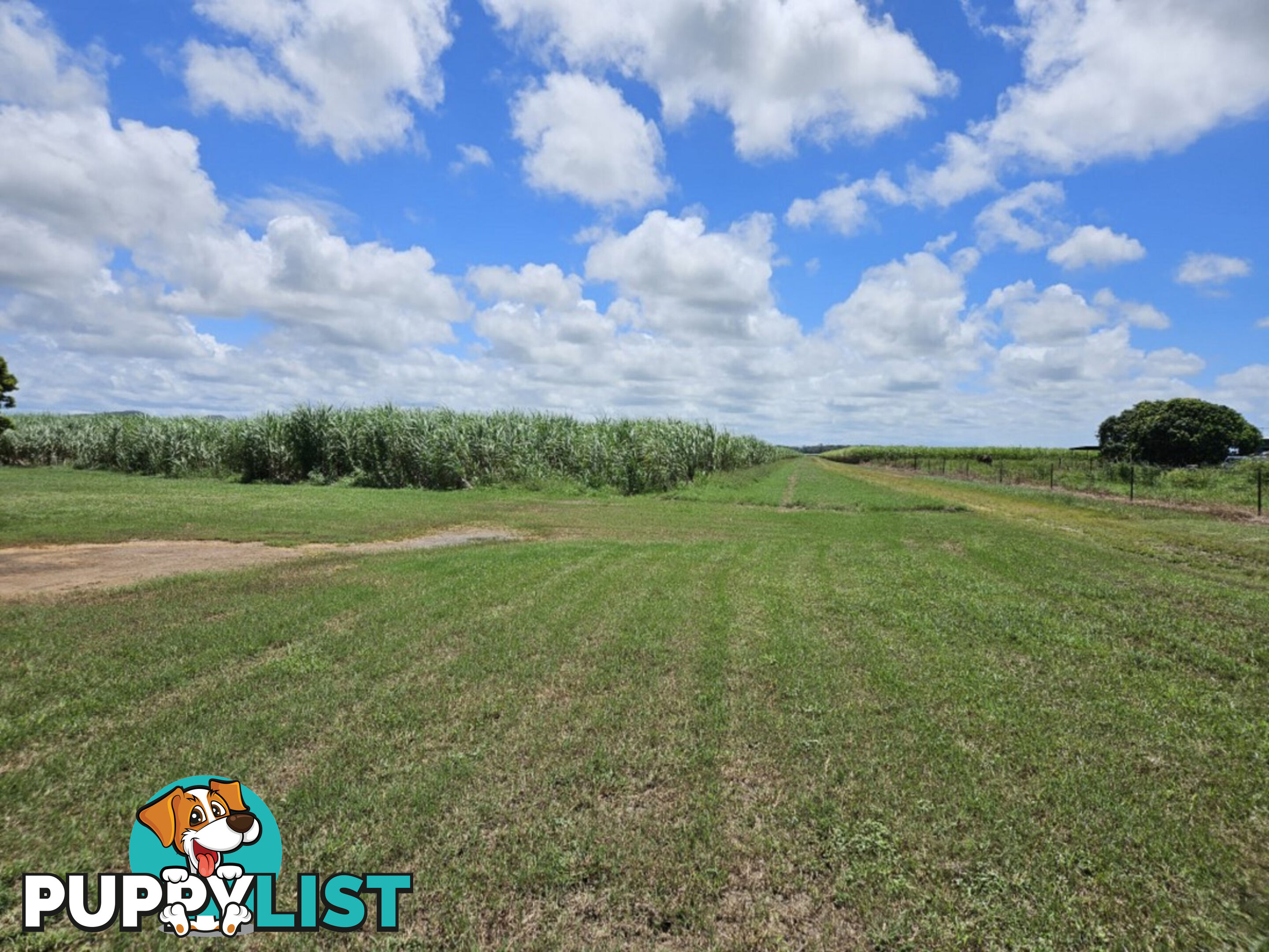 1 Nebbias Road Yuruga QLD 4850