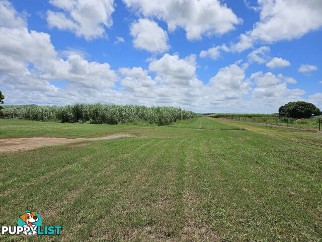 1 Nebbias Road Yuruga QLD 4850