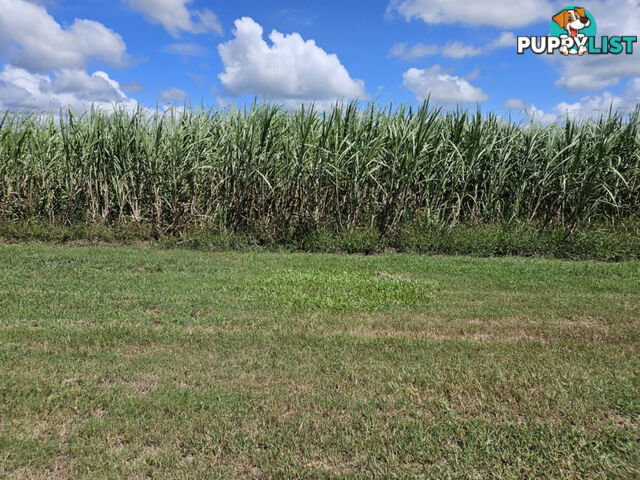 1 Nebbias Road Yuruga QLD 4850