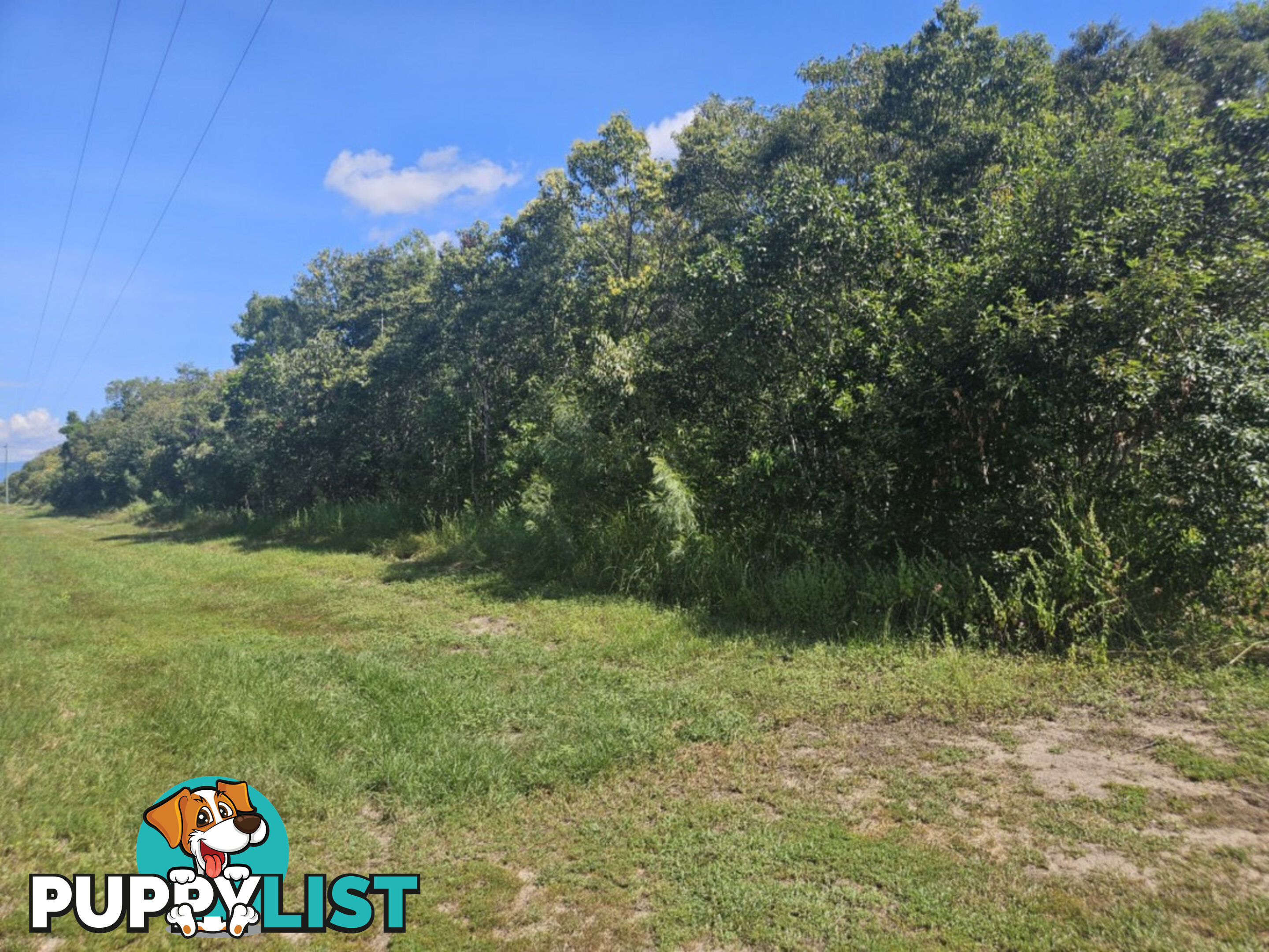 25 Cassady's Beach Road Forrest Beach QLD 4850