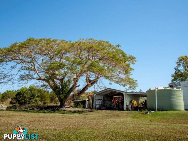 75 Lily Creek Road Ellerbeck QLD 4816