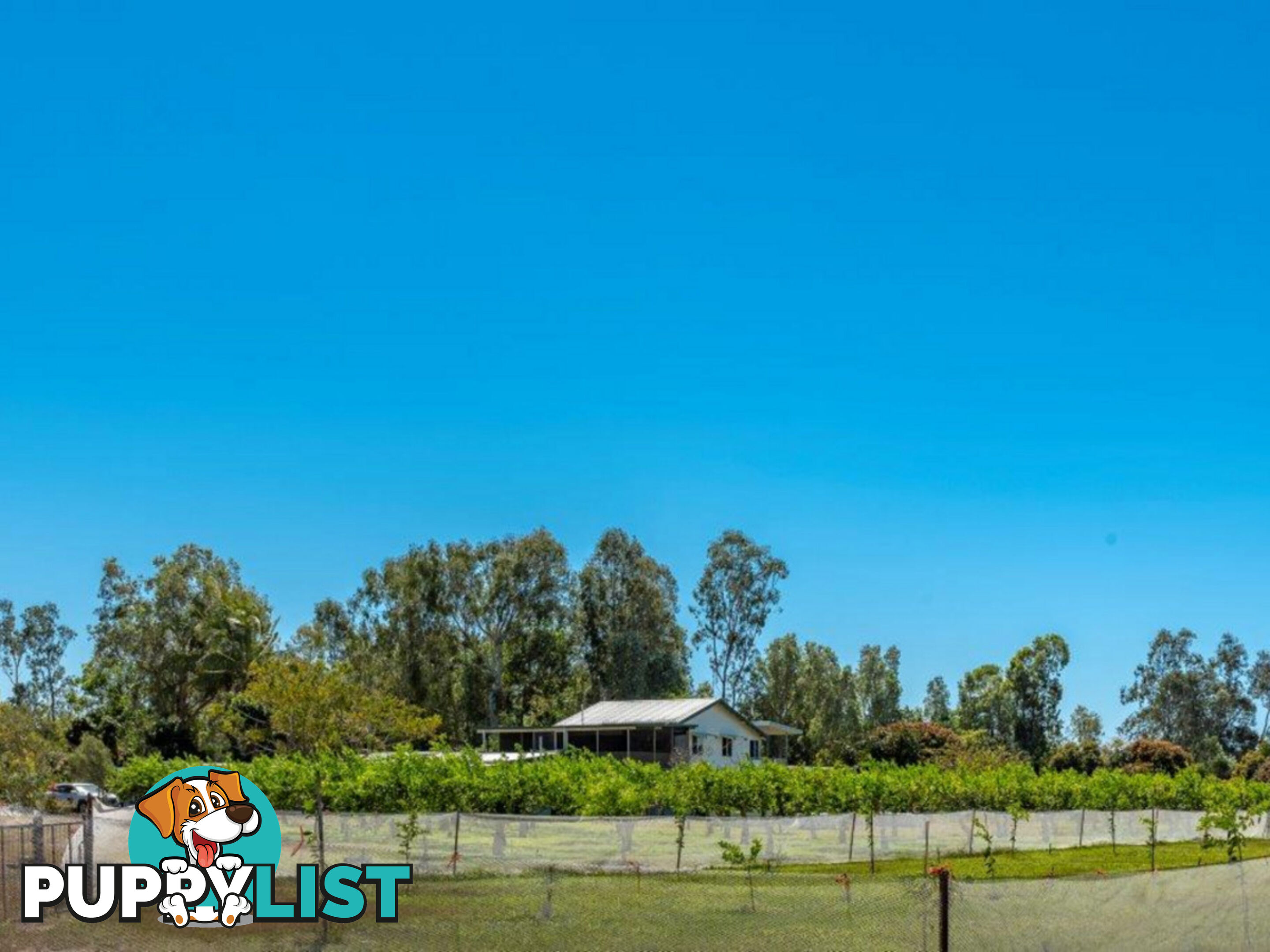 75 Lily Creek Road Ellerbeck QLD 4816