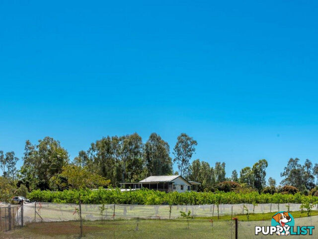 75 Lily Creek Road Ellerbeck QLD 4816