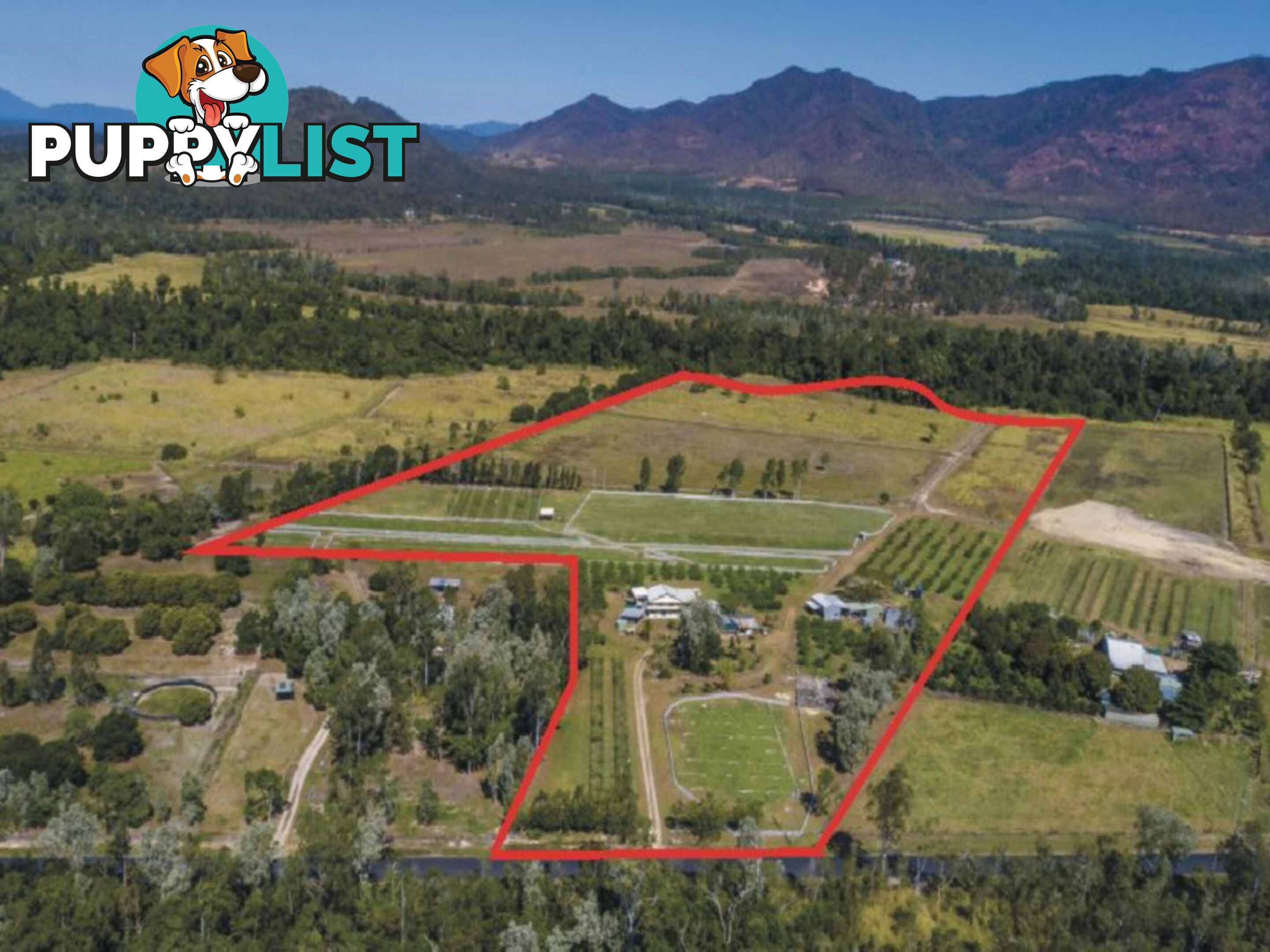 75 Lily Creek Road Ellerbeck QLD 4816