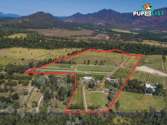 75 Lily Creek Road Ellerbeck QLD 4816