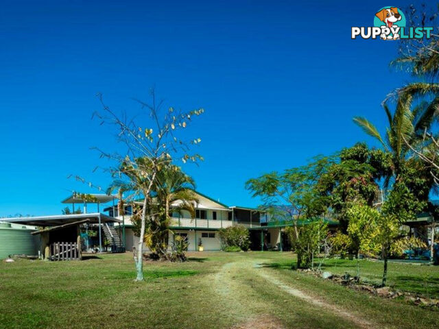 75 Lily Creek Road Ellerbeck QLD 4816