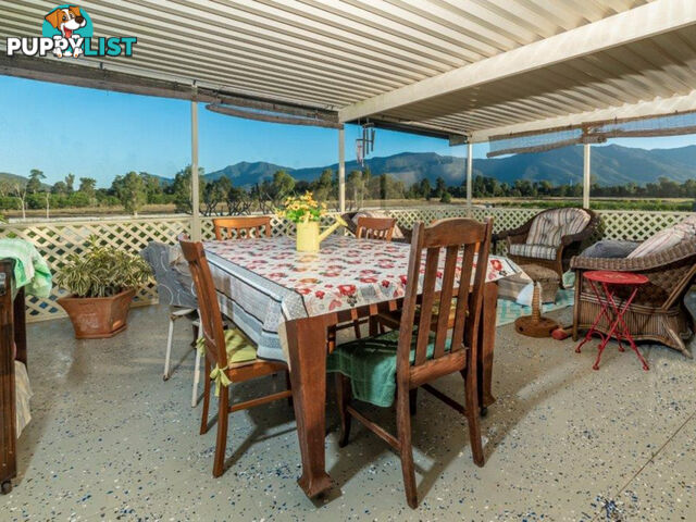 75 Lily Creek Road Ellerbeck QLD 4816