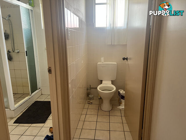 1 39 Perkins Street INGHAM QLD 4850