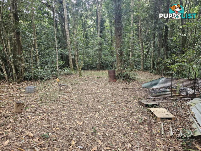 21 Mount Spec Road Paluma QLD 4816