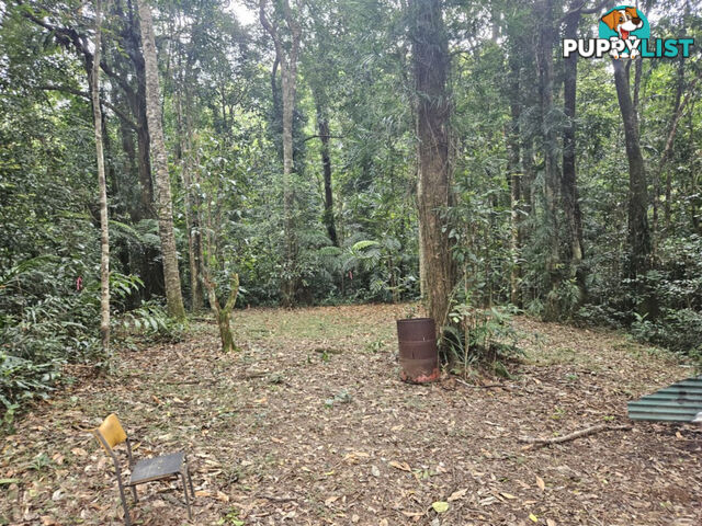 21 Mount Spec Road Paluma QLD 4816