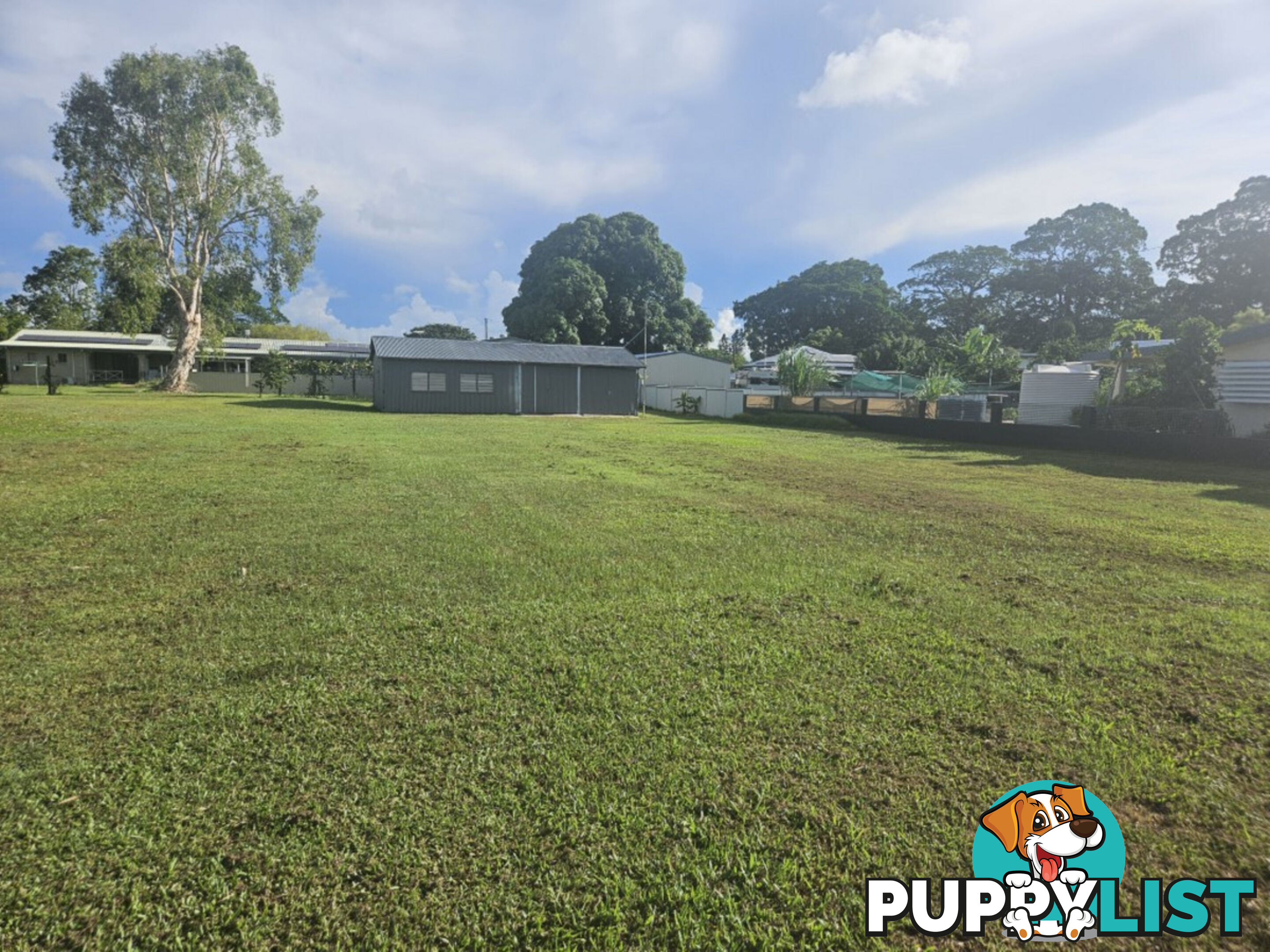 6 Anderssen Street Halifax QLD 4850