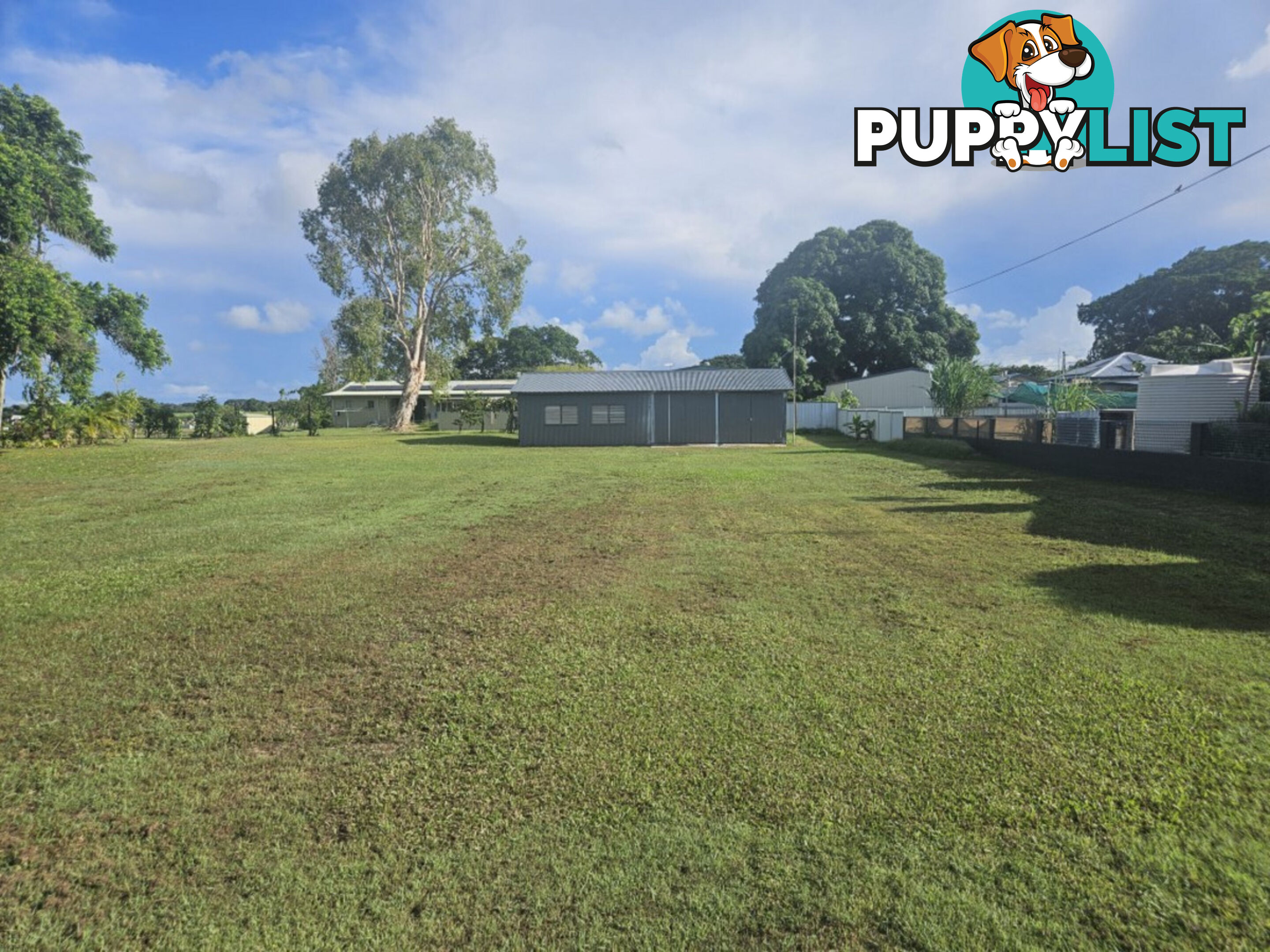 6 Anderssen Street Halifax QLD 4850