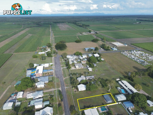 6 Anderssen Street Halifax QLD 4850