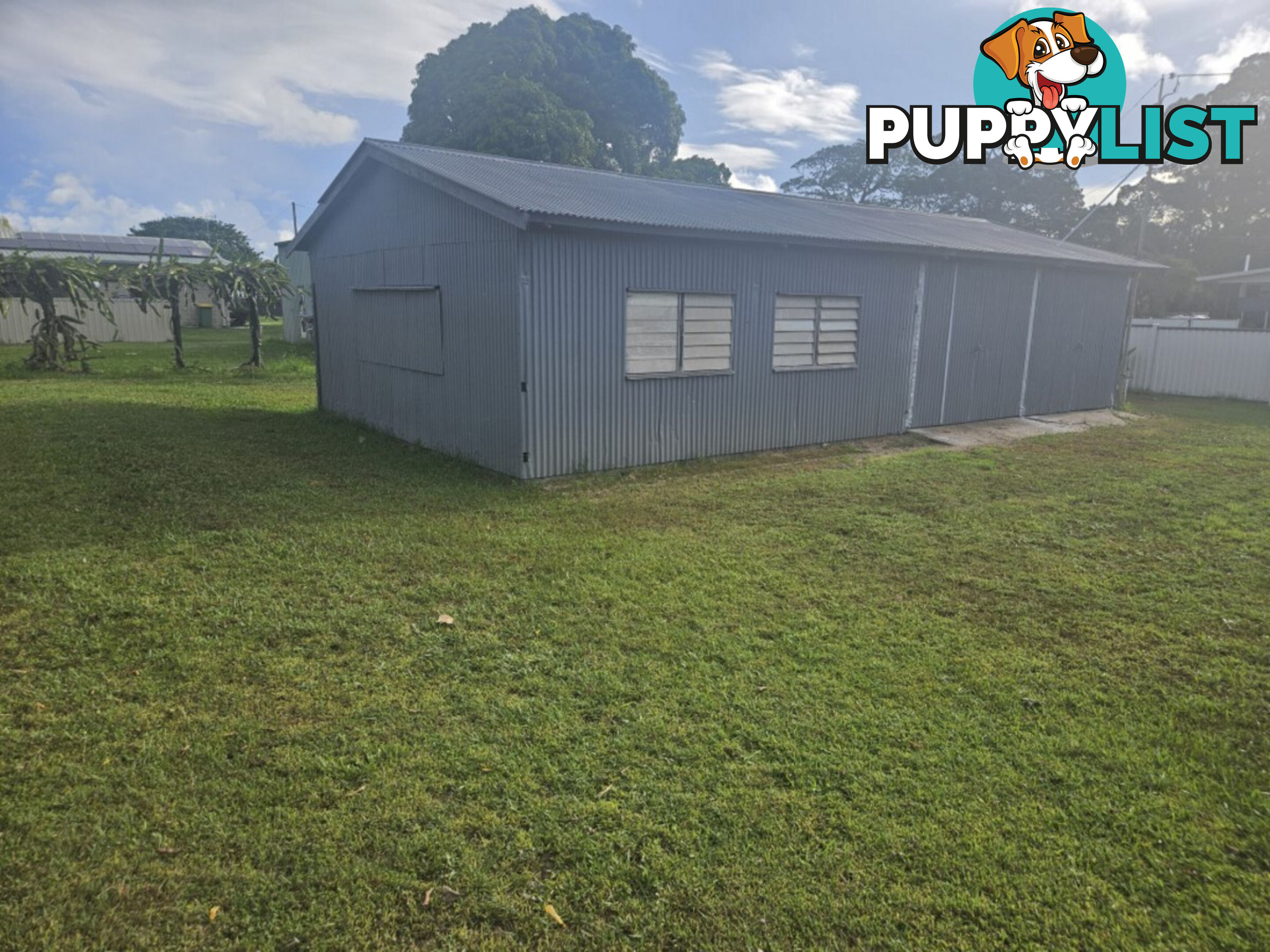 6 Anderssen Street Halifax QLD 4850