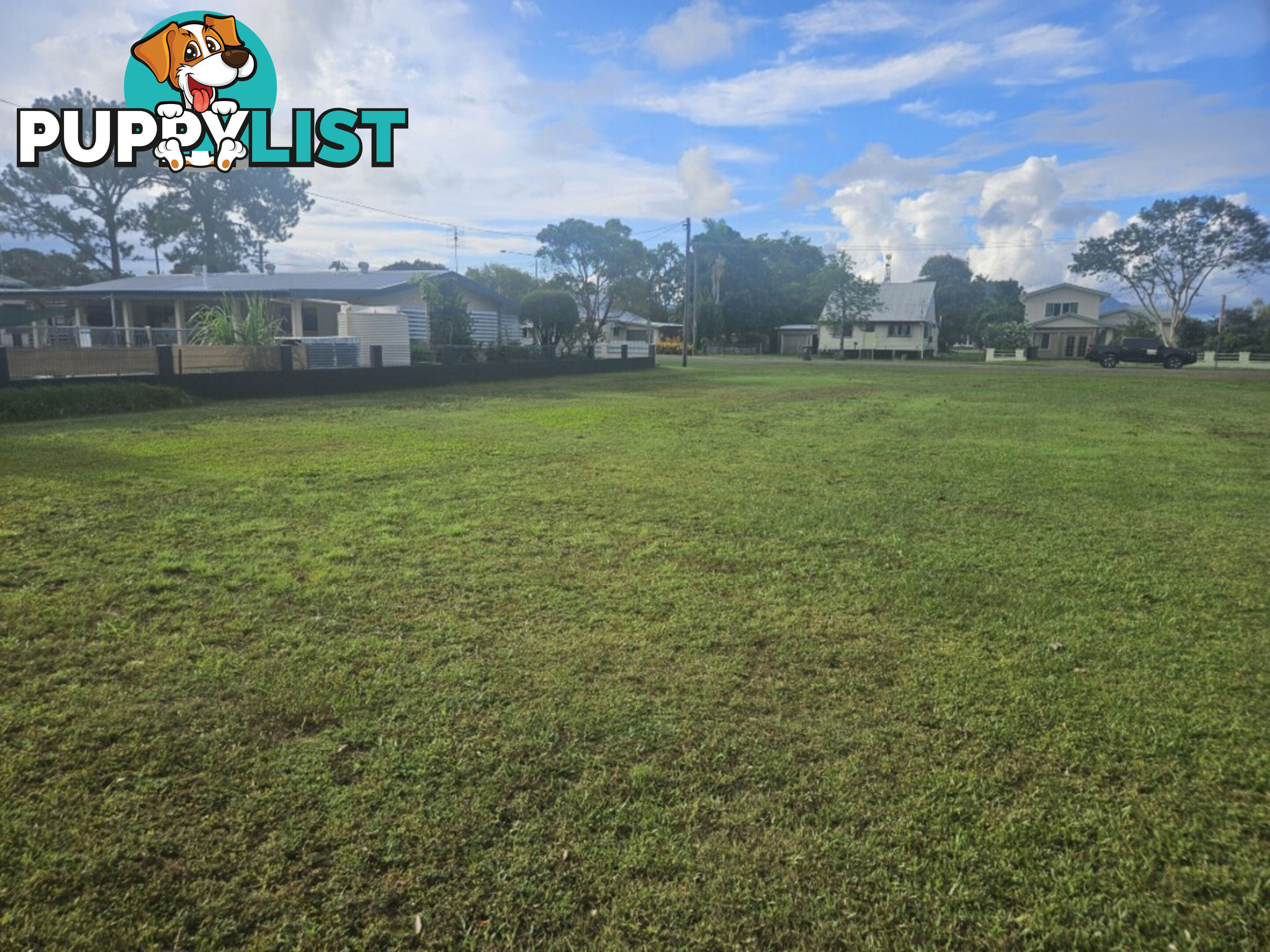 6 Anderssen Street Halifax QLD 4850