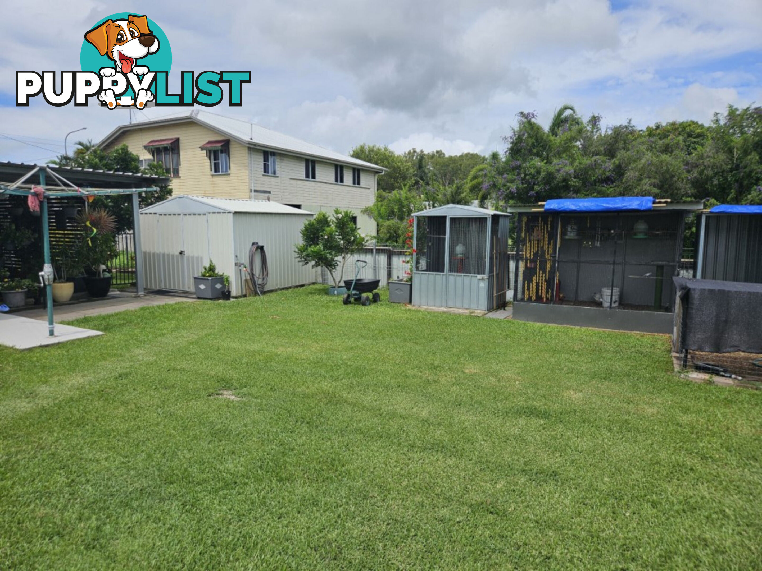 4 Shaw's Avenue Halifax QLD 4850