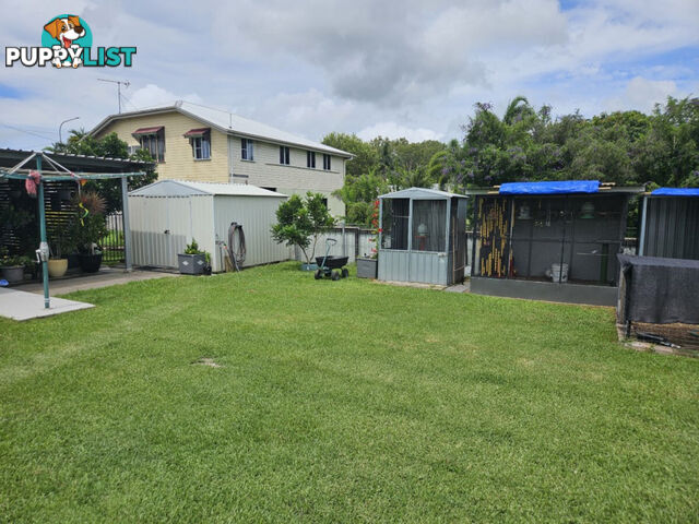 4 Shaw's Avenue Halifax QLD 4850