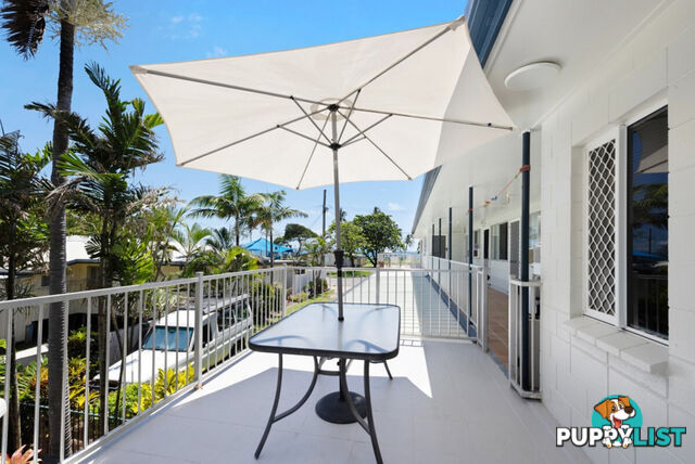 8 Palm Street Forrest Beach QLD 4850