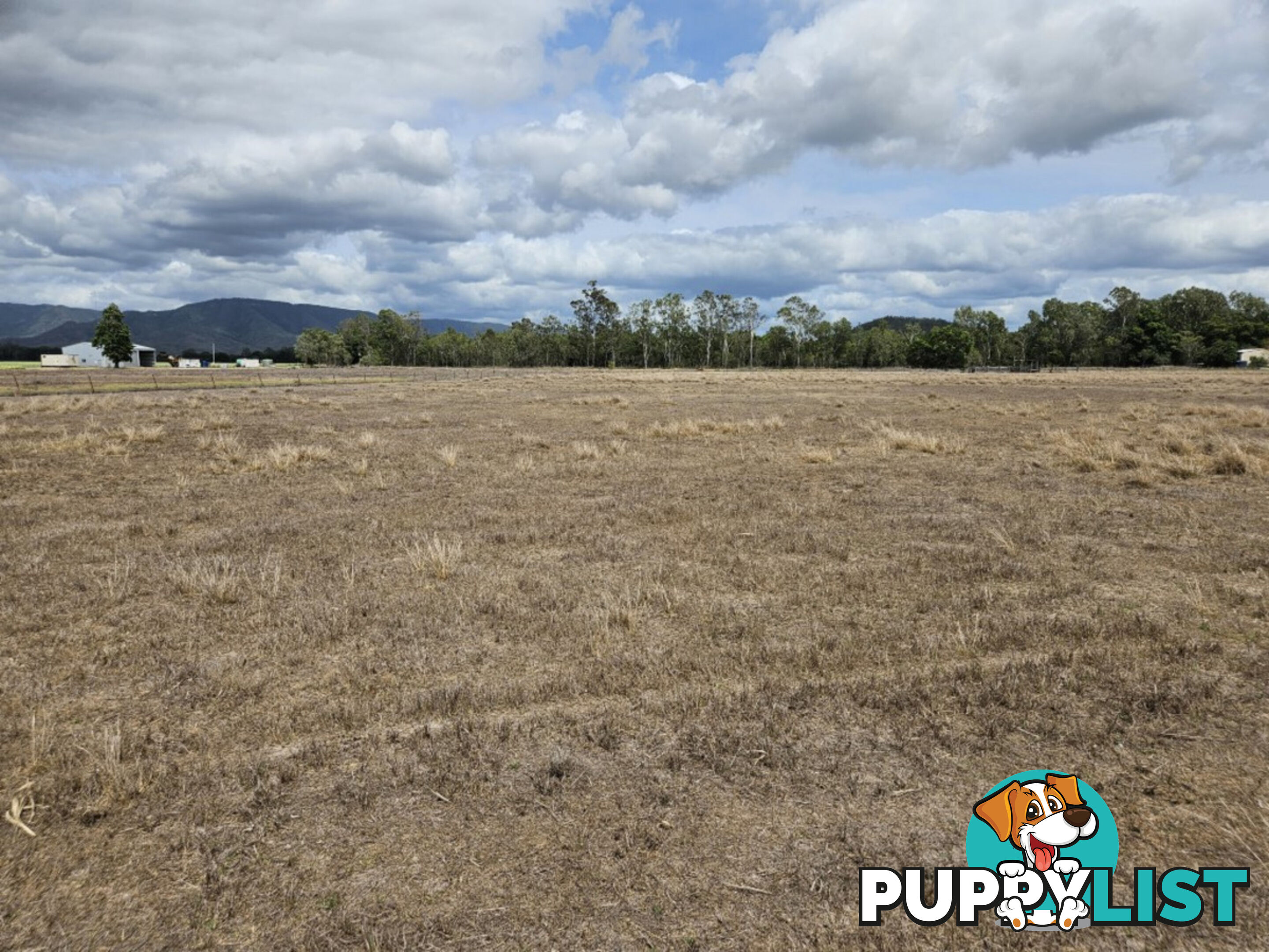 3 Stone River Road Upper Stone QLD 4850