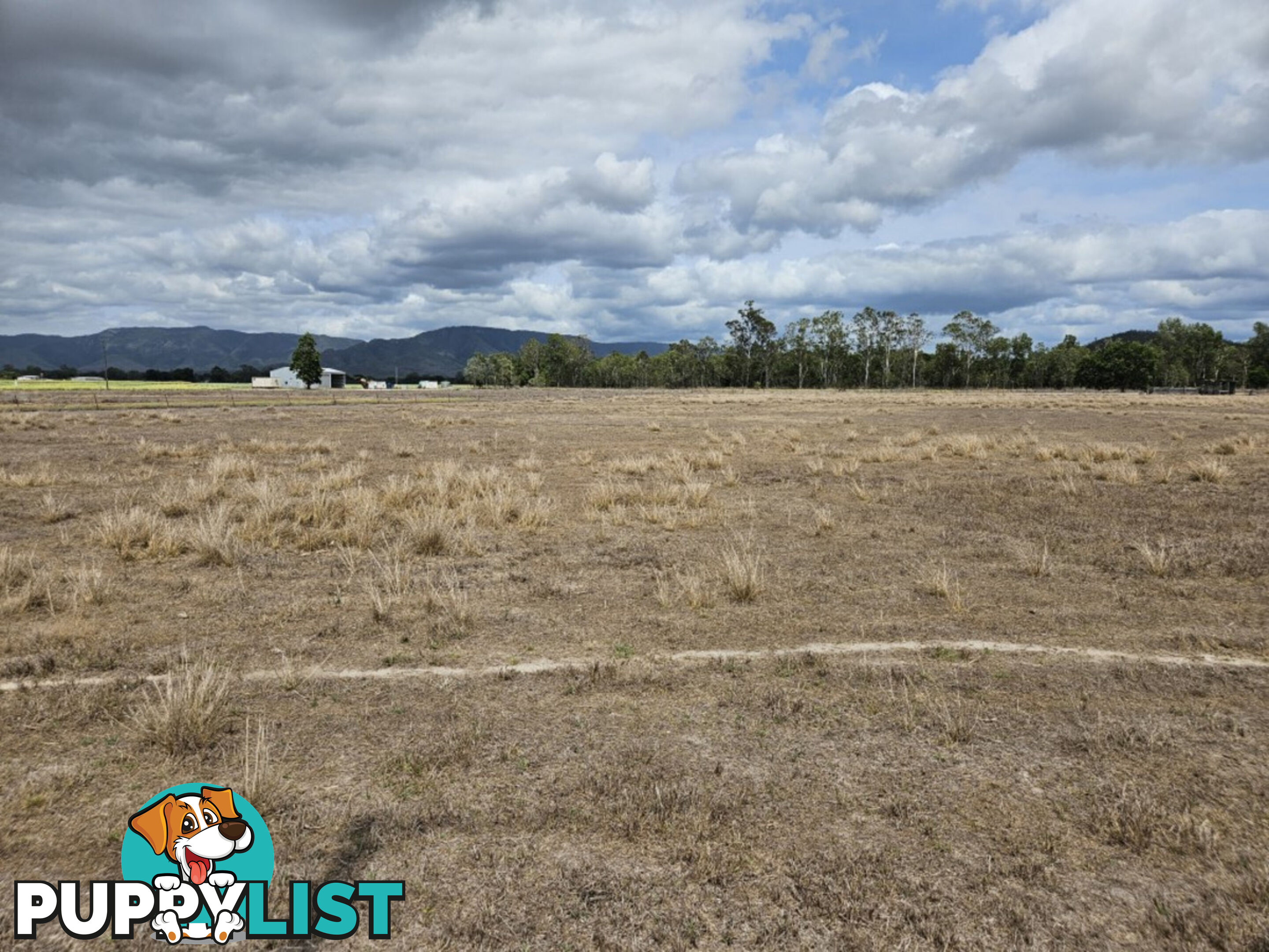 3 Stone River Road Upper Stone QLD 4850