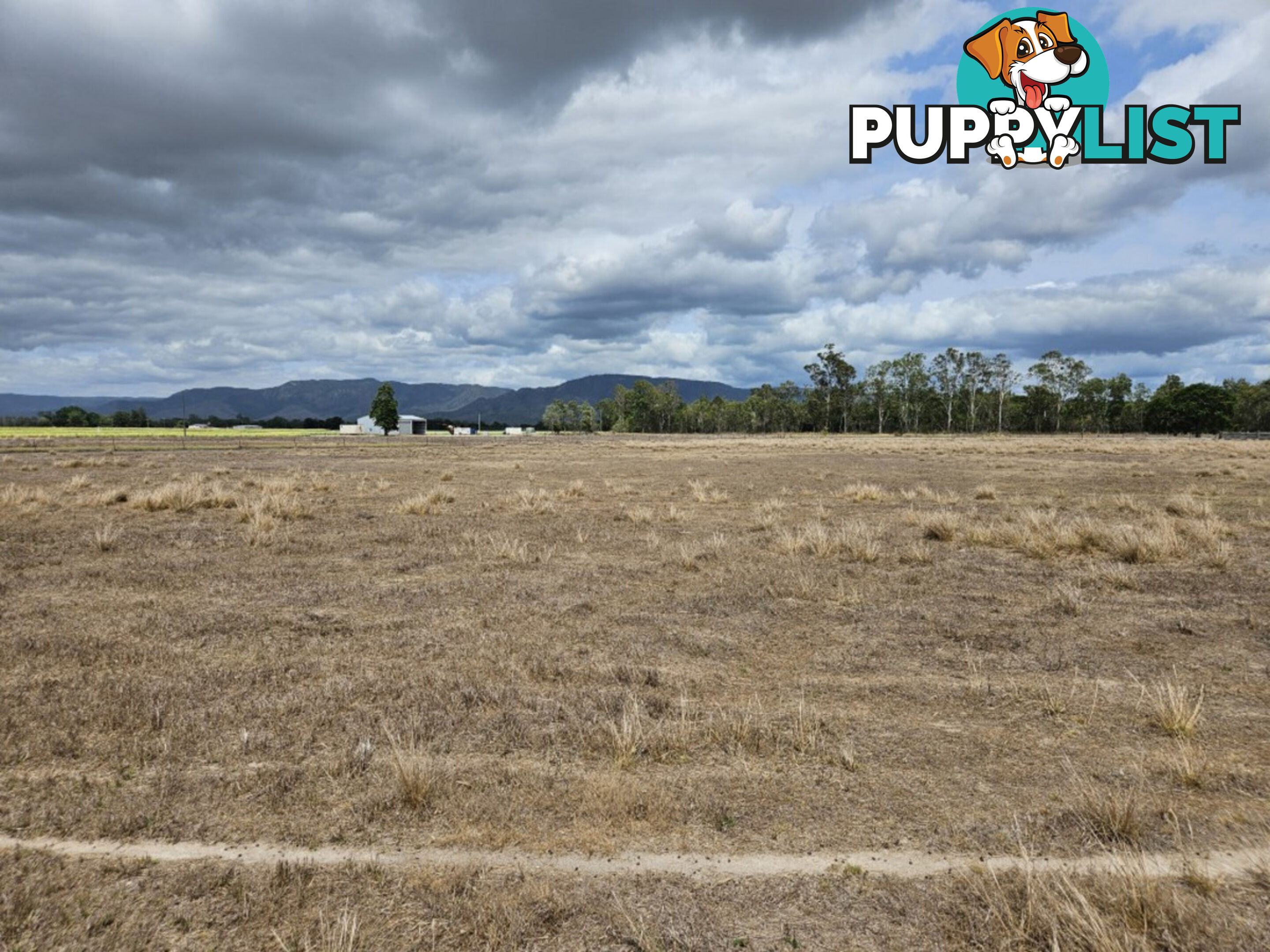 3 Stone River Road Upper Stone QLD 4850