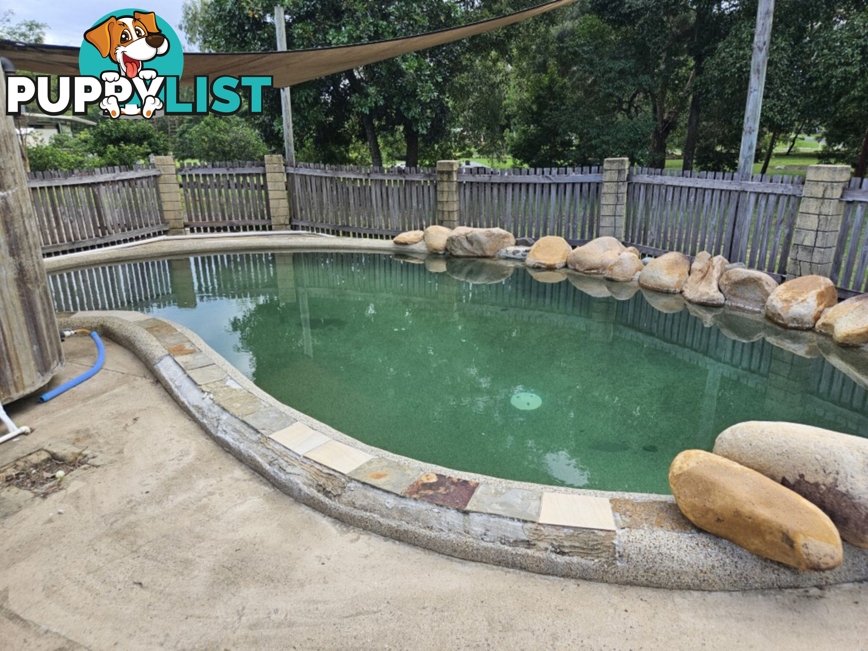 227 Beatts Road Forrest Beach QLD 4850