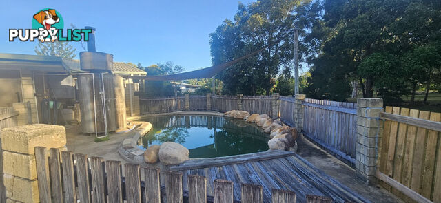 227 Beatts Road Forrest Beach QLD 4850
