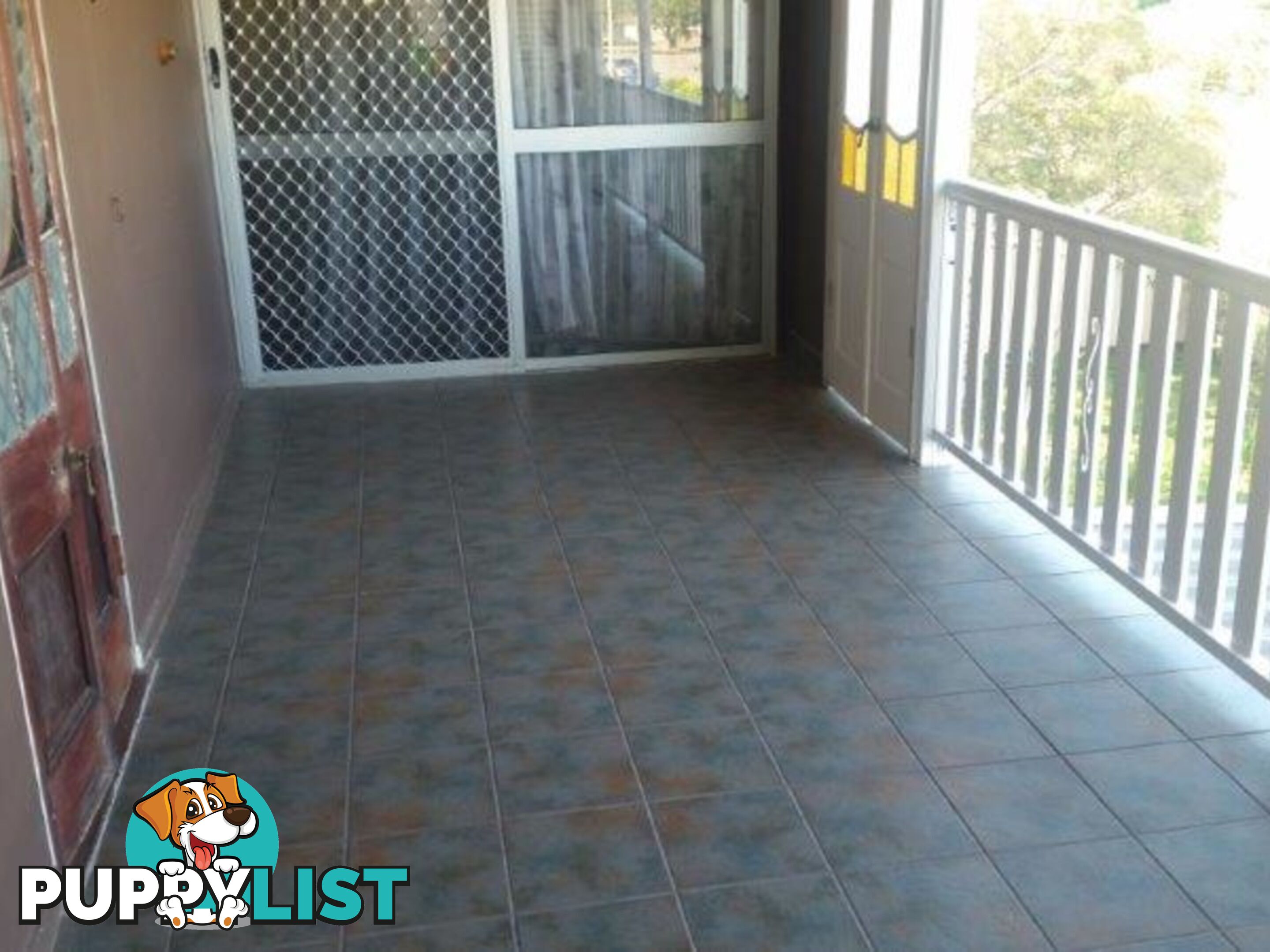 9 White Street Ingham QLD 4850