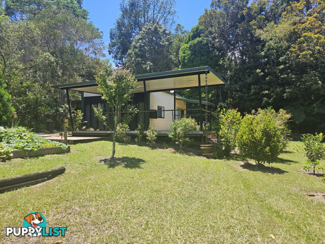 32 Mount Spec Road Paluma QLD 4816