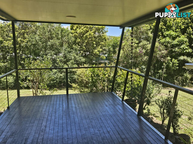 32 Mount Spec Road Paluma QLD 4816