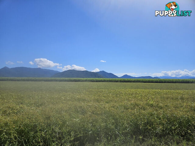 2 Hawkins Creek Road Hawkins Creek QLD 4850