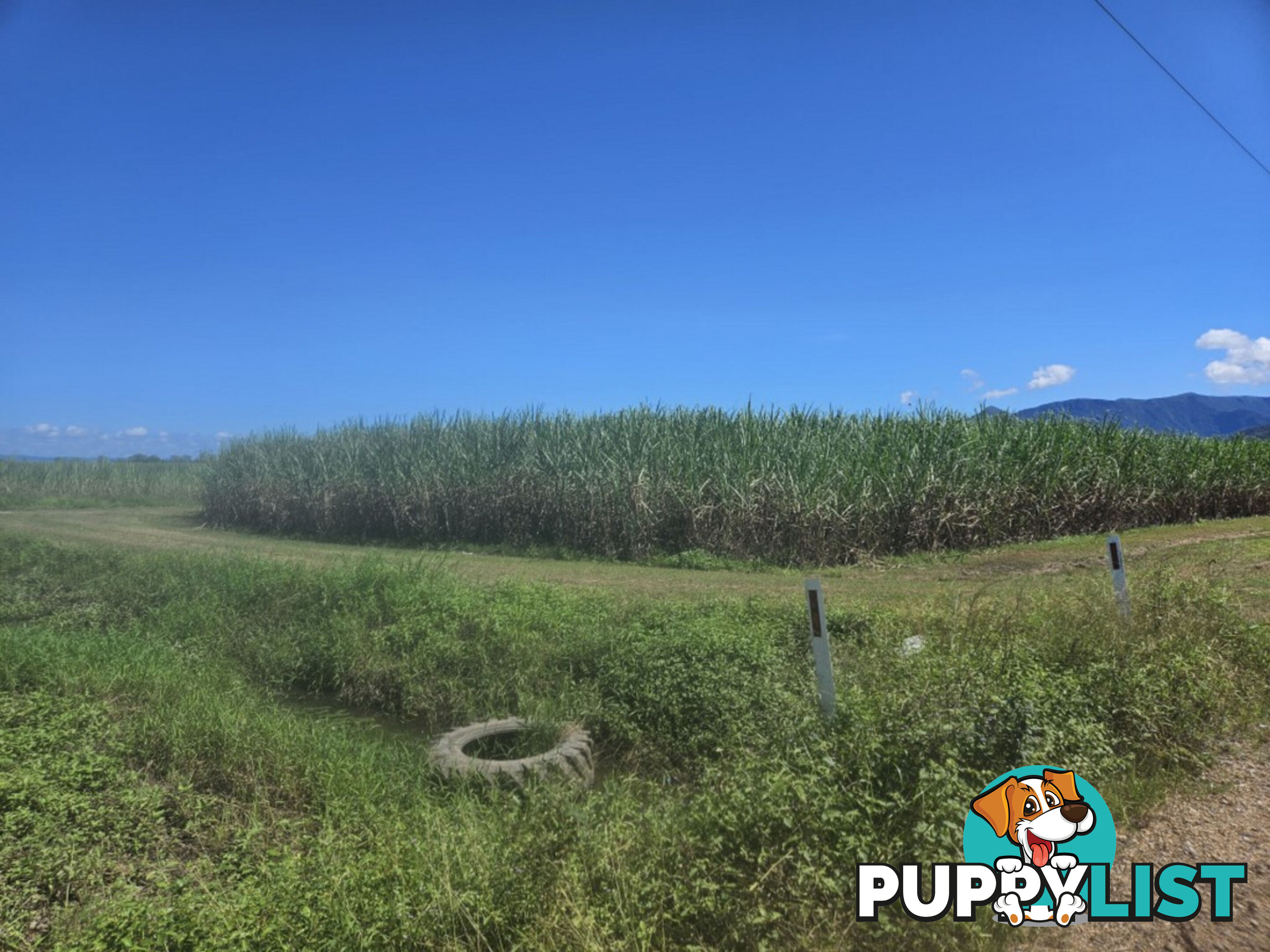 2 Hawkins Creek Road Hawkins Creek QLD 4850
