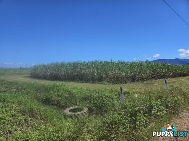 2 Hawkins Creek Road Hawkins Creek QLD 4850