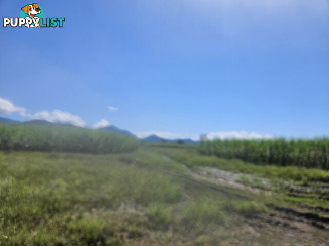 2 Hawkins Creek Road Hawkins Creek QLD 4850