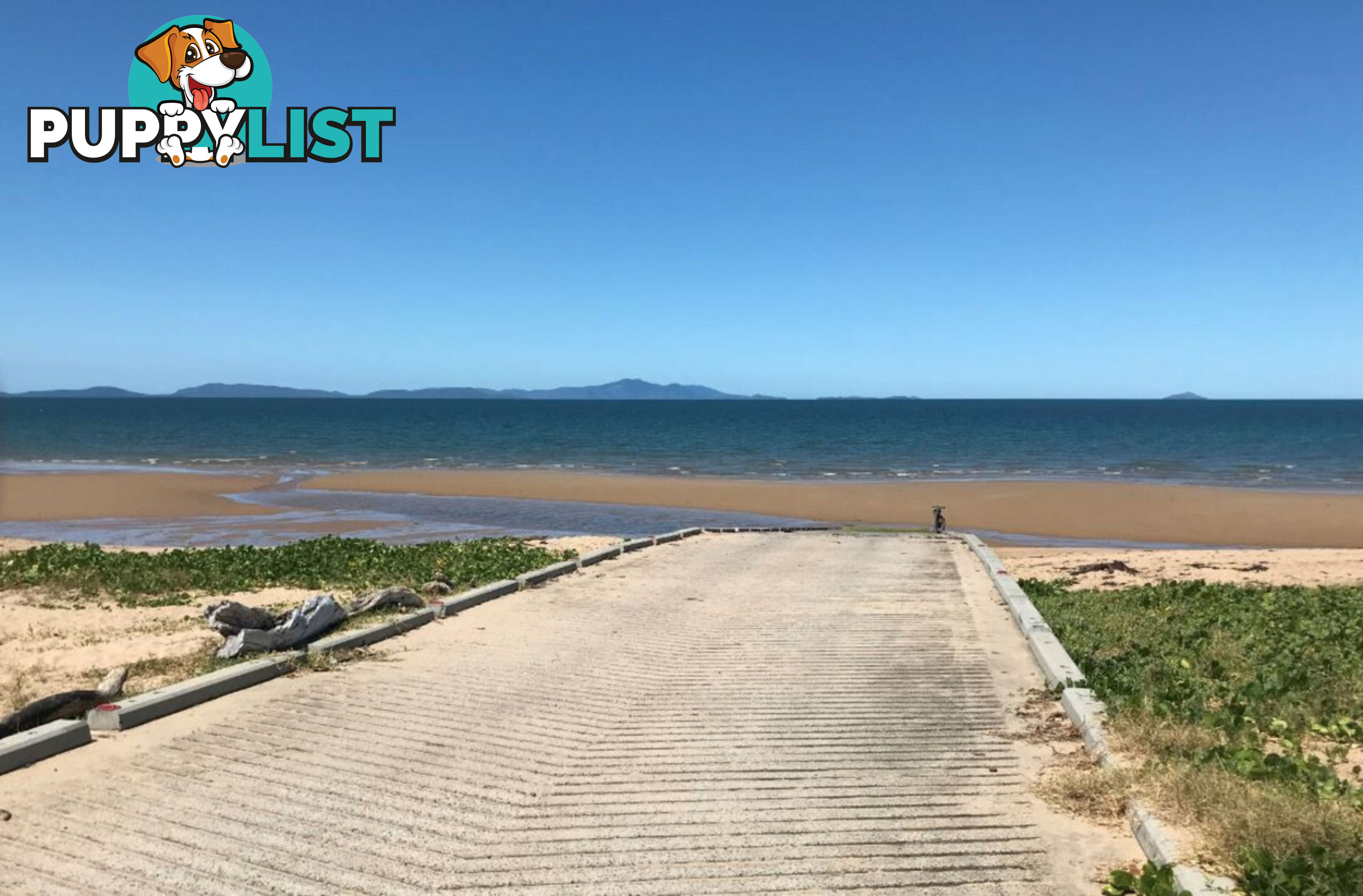 29 Allamanda Avenue Forrest Beach QLD 4850