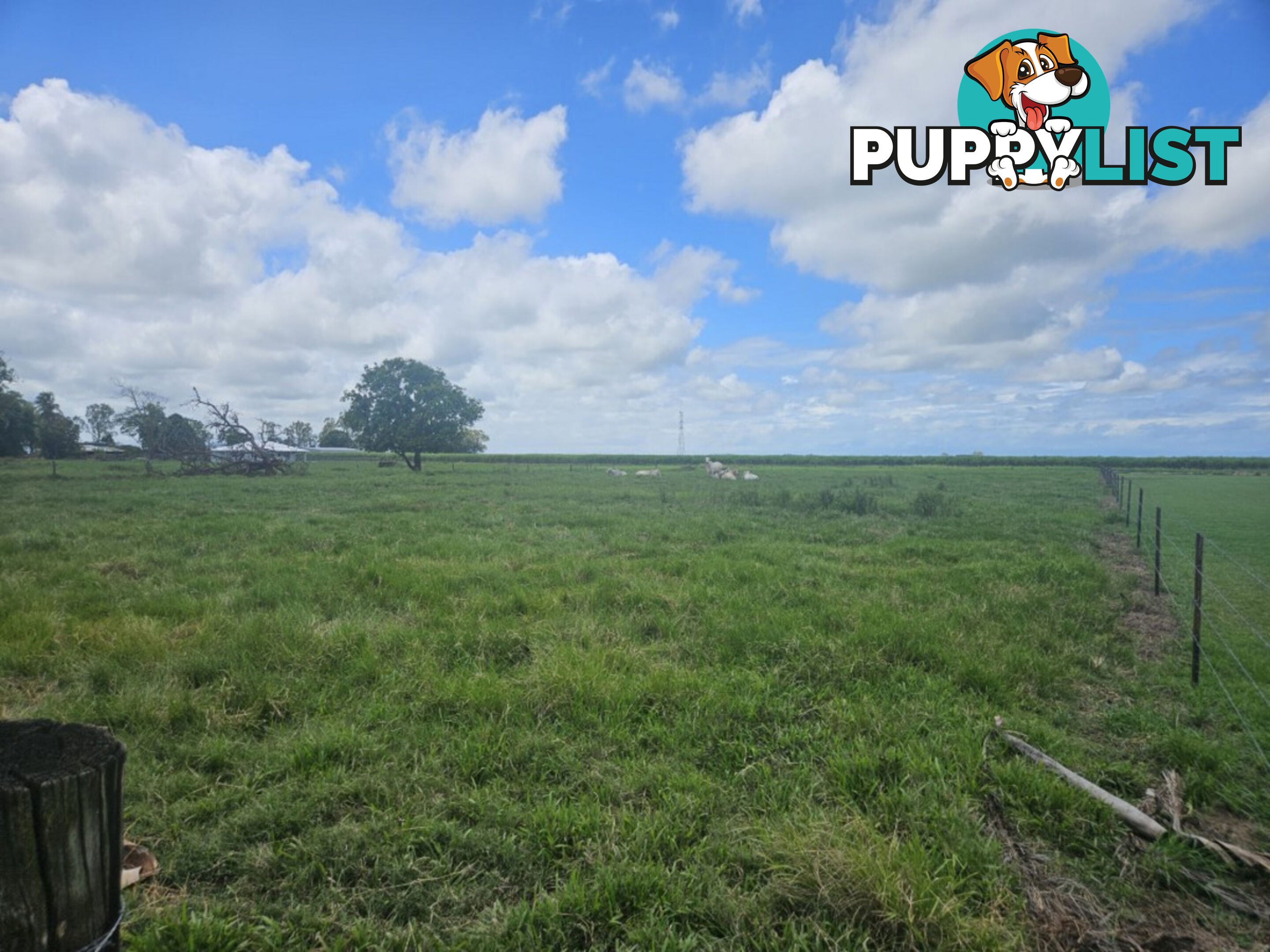 4 Bruce Highway Toobanna QLD 4850