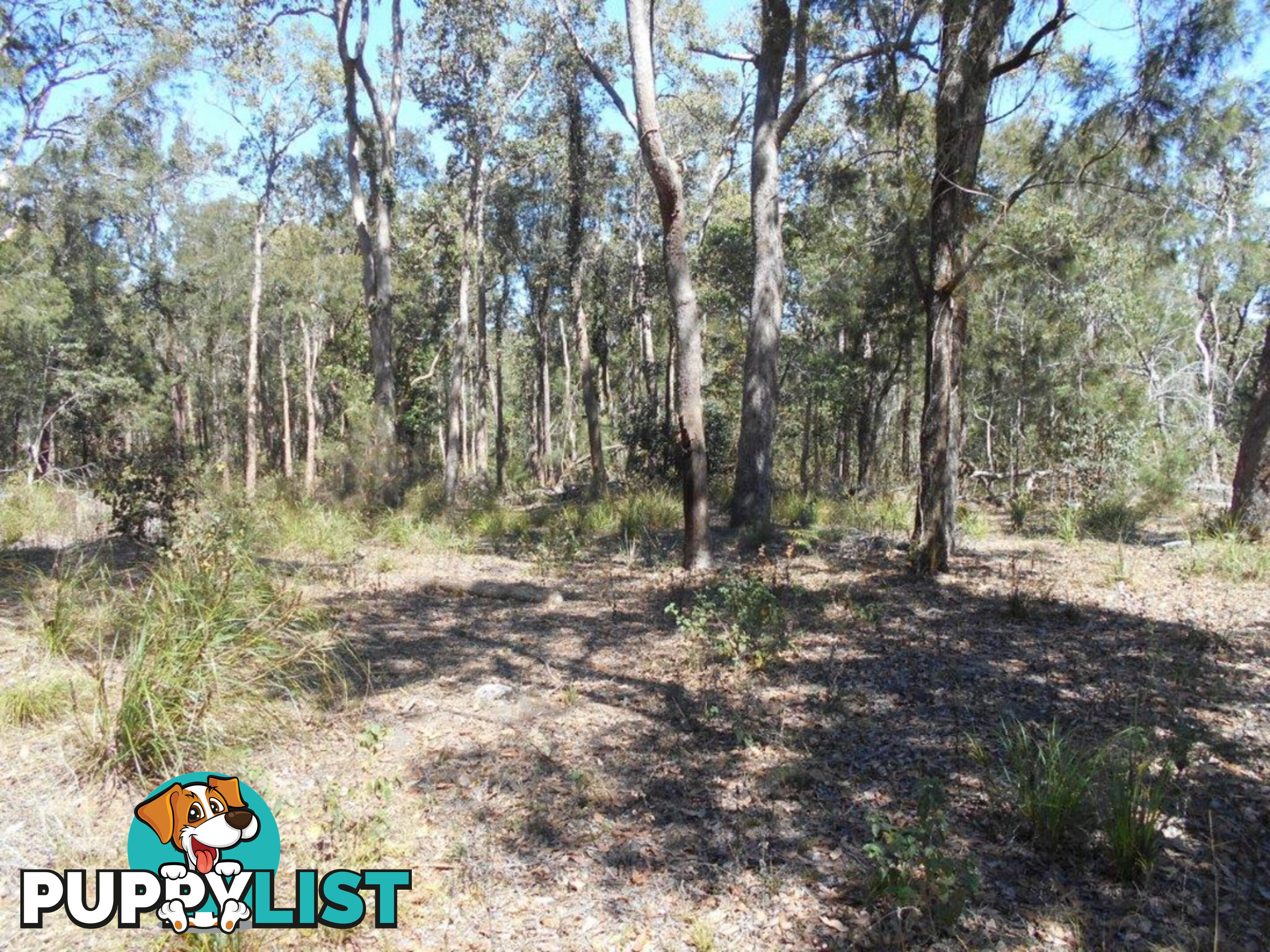 Lot 3 Bloodwood Road Mount Fox QLD 4850